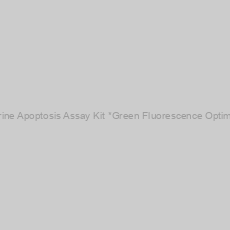 Image of Cell Meter™ Phosphatidylserine Apoptosis Assay Kit *Green Fluorescence Optimized for Microplate Readers*
